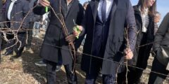 Двама министри, областен управител и кметове зарязаха лозите в Брестовица
